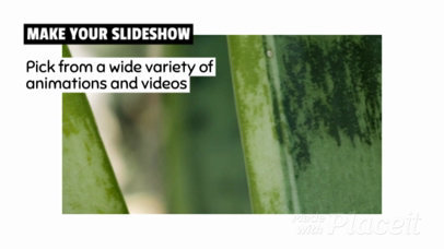 Minimalist Slideshow Video Maker