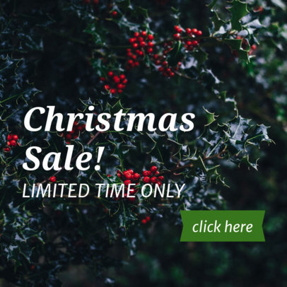 Banner Maker for a Limited Christmas Sale