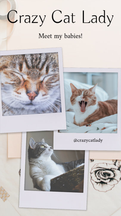 Cute Instagram Story Template for Cat Posts 