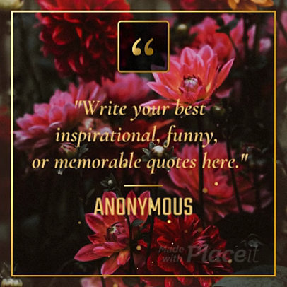 Instagram Video Maker for a Quote Video