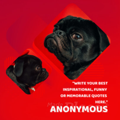 Instagram Video Maker for an Inspirational Quote Video with Fun Animations