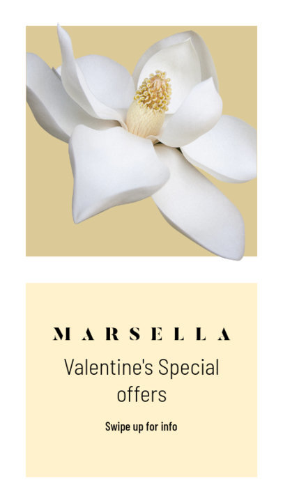 Simple Instagram Story Maker for a Valentine's Day Offer 1046a