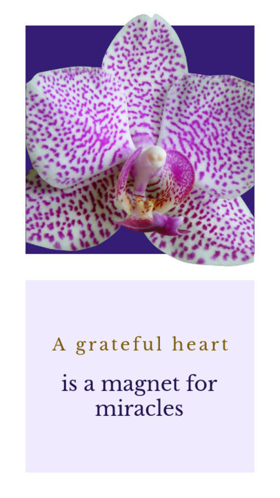 Valentine's Day Instagram Story Template with Flower Images 1046e