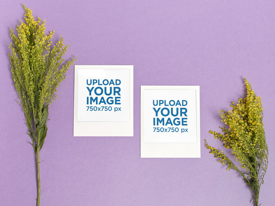 Mockup of Two Polaroid Picture Frames over a Colored Background with Plants