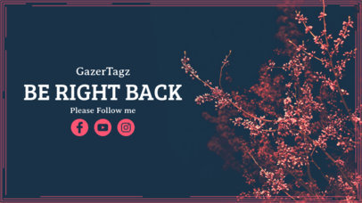 Minimalistic Twitch Overlay Maker for a BRB Screen 223e