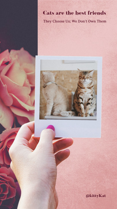 Insta Story Maker with Cute Cat Images