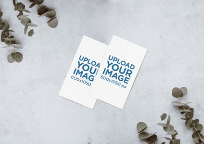 Minimal Mockup Featuring Two Business Cards Lying on a Grey Surface by Some Plants