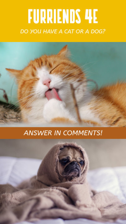 Instagram Story Maker for a This or That Questionnaire of Cats vs Dogs