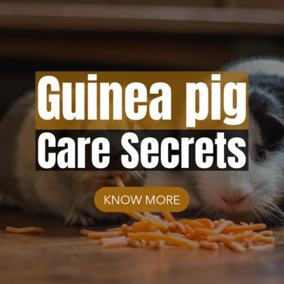 Banner Design Template for Pets-Related Content 2124a