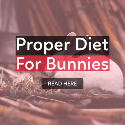 Banner Creator for Content About Pet Nutrition