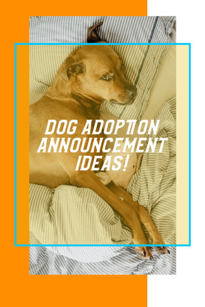 Pinterest Pin Creator for a Dog Adoption Announcement