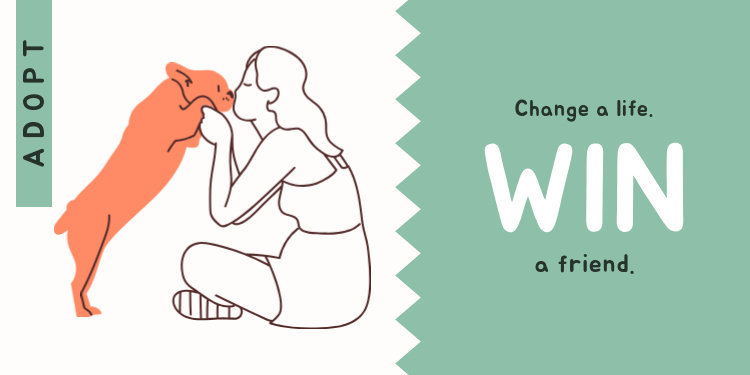 Twitter Cover Maker for an Animal Rescue Association
