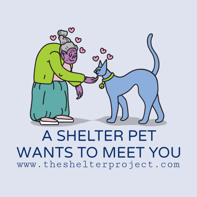 Pet Shelter Instagram Post Generator Featuring Adorable Graphics