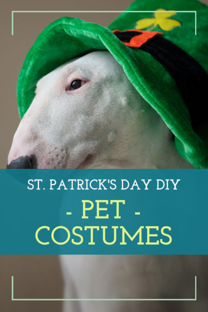 Pinterest Pin Creator for a St. Patrick's Day Pet Costume Post 1885l-2182