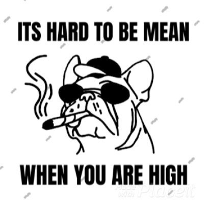  Cool Instagram Video Template for a Marijuana Post 