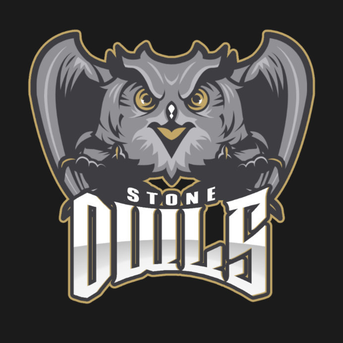 Logo Maker Featuring a Wise Owl Graphic