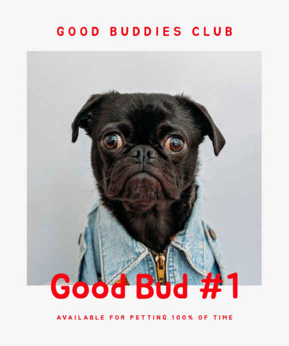 T-Shirt Design Maker Featuring a Funny Pug Picture and a Petting Quote