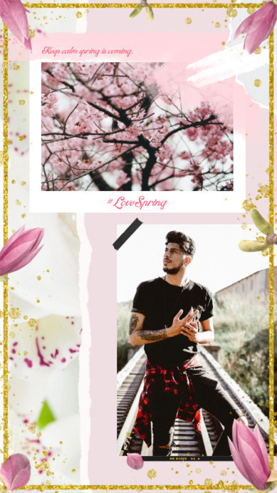 Instagram Story Maker Featuring Spring Frames for Photos