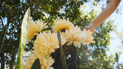 T-Shirt Video of a Woman Taking a Stroll at a Park