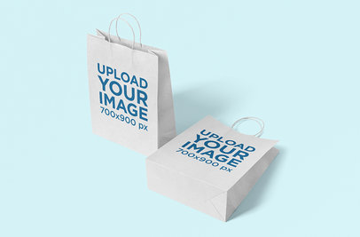 Mockup Featuring Two Paper Bags Placed Against a Solid Color Background 