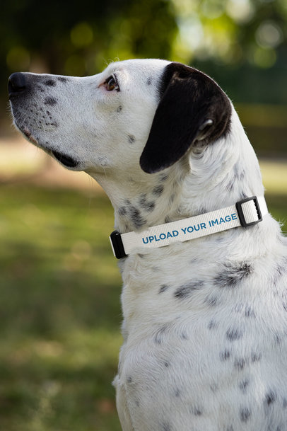 Dog Collar Mockup