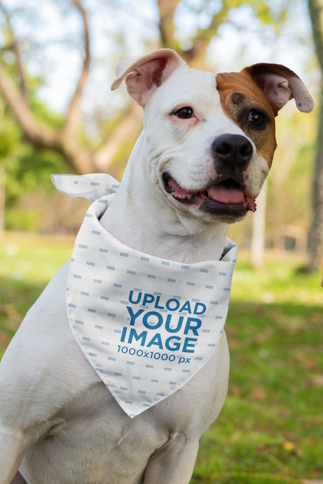 Sublimated Bandana Mockup Featuring a Dog 