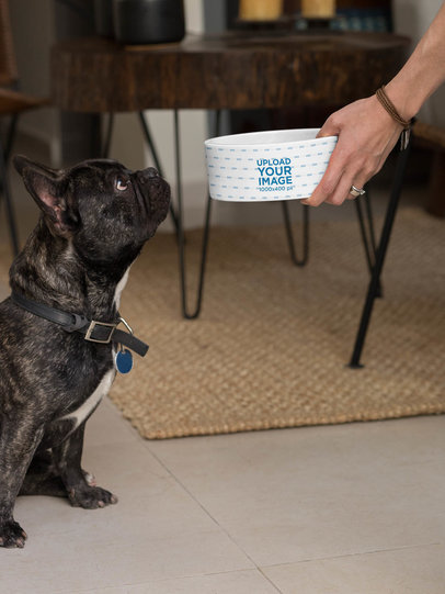Dog Bowl Mockup Featuring a Woman Feeding Her Dog 