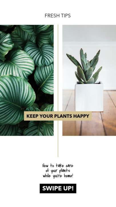 Instagram Story Maker for an Online Blog with Plant Care Tips 