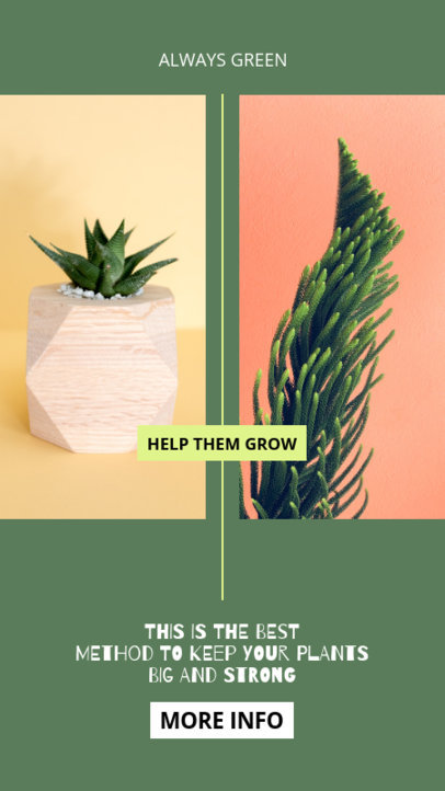 Minimalist Instagram Story Template Featuring Indoor Plant Tips