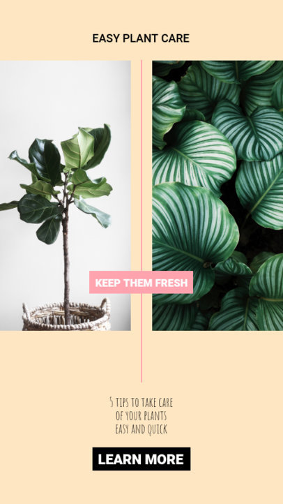Stylish Instagram Story Creator For Plant Enthusiasts