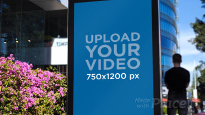 Urban Video of a MUPI by a Flower Bush 32984