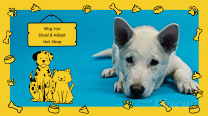 Animated Slideshow Maker for Pet Adoption Awareness 