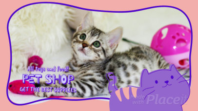 Slideshow Maker Featuring Cute Animated Kitten Graphics