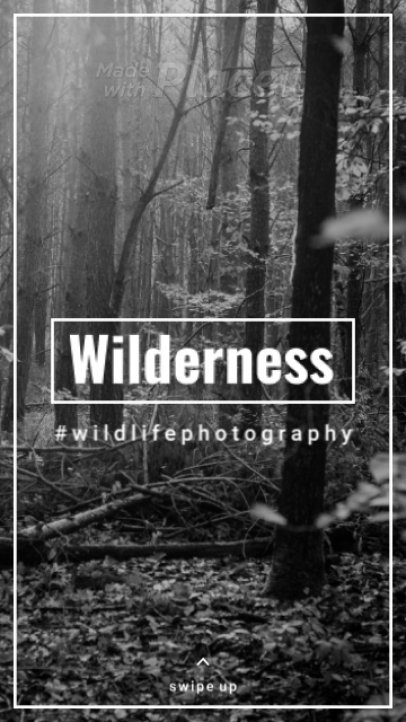 Minimalist Instagram Story Video Creator for a Photographer 