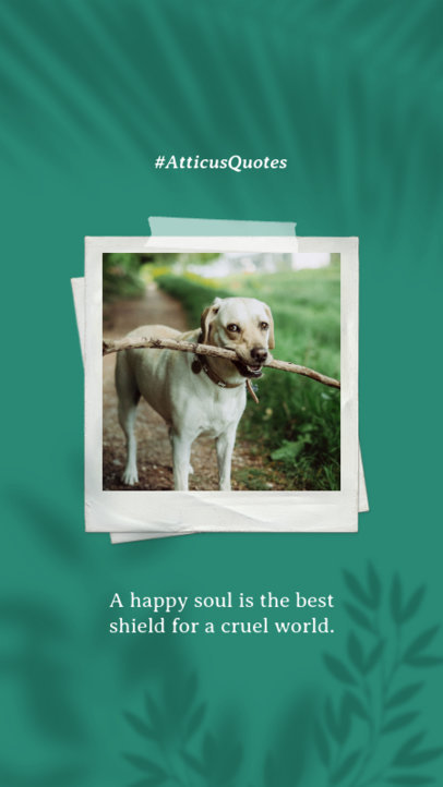 Tropical Instagram Story Maker with Palm Leaf Shadows