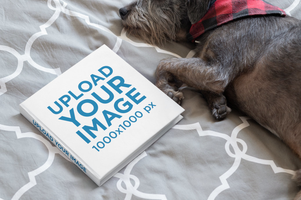 Square Book Mockup Featuring a Small Dog Lying on a Bed 