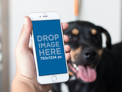 Mockup of an iPhone in Portrait Position With a Dog in the Background 