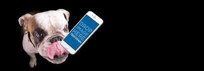 iPhone 6s Mockup Featuring a Bulldog Over a Black Background