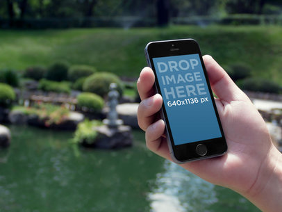 Apple iPhone 5s Grey Chinese Pond