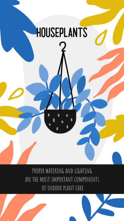 Instagram Story Maker with a Hanging Plant Pot