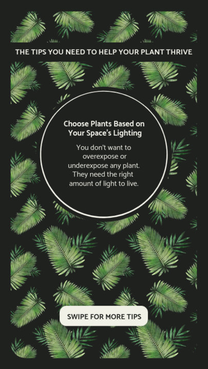 Instagram Story Maker Featuring Plant Care Tips