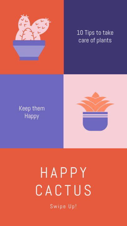 Instagram Story Maker with 10 Tips for Cactus Care