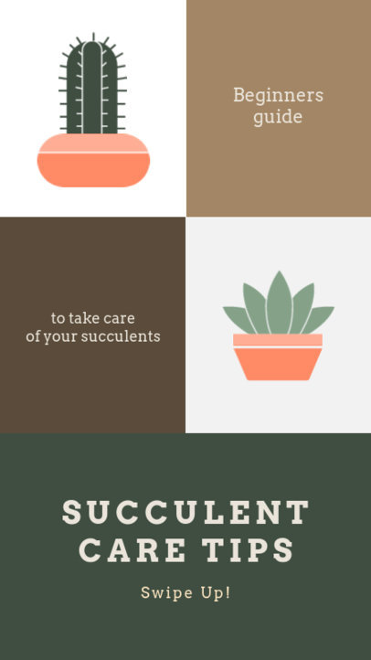Instagram Story Template Featuring a Cactus Care Guide for Beginners