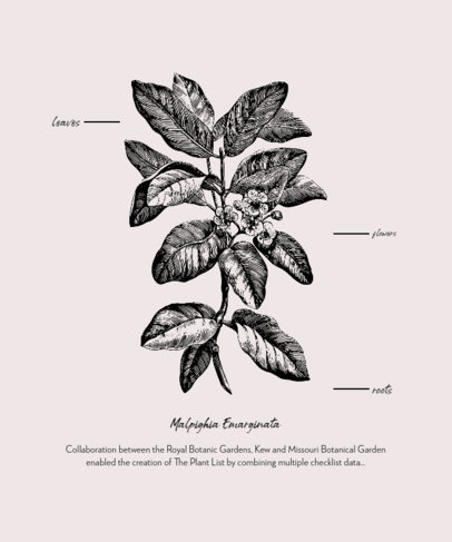 T-Shirt Design Generator Featuring Engraved Botanical Graphics 