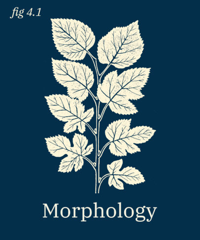 Botanical T-Shirt Design Creator with Plants Graphics 1657c-el1