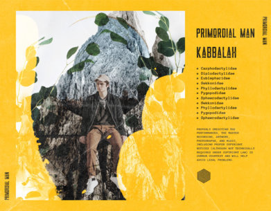 Album Back Cover Creator with a Picture and an Anti-Design Style 2788h