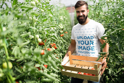 T-Shirt Mockup Featuring a Man Picking Tomatoes