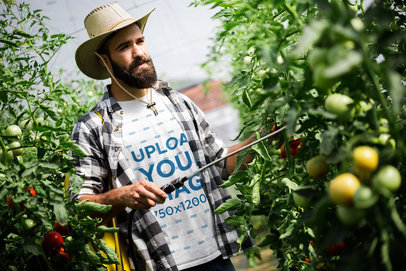 T-Shirt Mockup Featuring a Farmer Cutting Tomatoes 