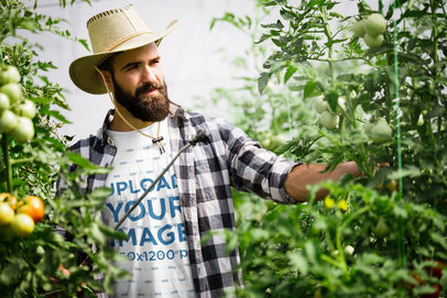 T-Shirt Mockup Featuring a Bearded Farmer in a Tomato Plantation 