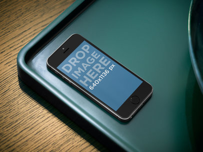 iPhone 5s Grey Portrait On Tray